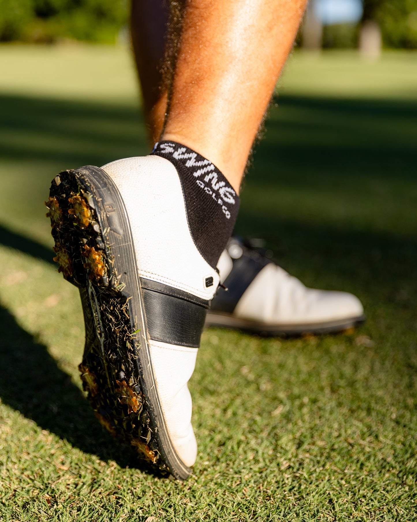 WS Ankle Socks